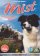 MIST The Tale Of A Sheepdog Puppy Complete Series