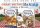 GREAT BRITISH BAKING CAKES & BREADS 4 DVDSET