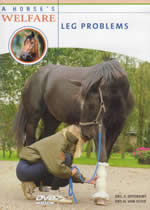 A HORSE'S WELFARE Leg Problems - Click Image to Close