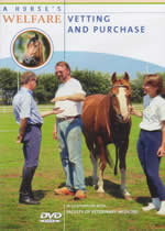 A HORSE'S WELFARE Vetting And Purchase