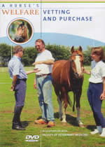 A HORSE'S WELFARE Vetting And Purchase - Click Image to Close