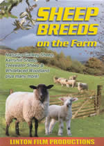 SHEEP BREEDS On The Farm - Click Image to Close