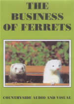 THE BUSINESS OF FERRETS - Click Image to Close